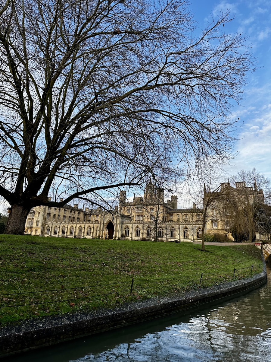 Cambridge punting on the Cam — luxury chauffeur day trip from London, King's College visit FFGR London